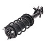 Complete Strut Assembly 815370 - bottom view