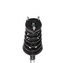 Complete Strut Assembly 816379 - bottom view