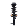 Complete Strut Assembly 815376 - front view