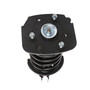 Complete Strut Assembly 816785 - bottom view
