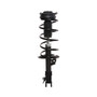Complete Strut Assembly 817156 - front view