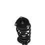 Complete Strut Assembly 817156 - bottom view