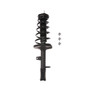 Complete Strut Assembly 817035 - front view