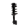 Complete Strut Assembly 817137 - top view