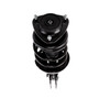 Complete Strut Assembly 817137 - bottom view