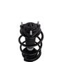 Complete Strut Assembly 816955 - bottom view