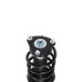 Complete Strut Assembly 817895 - bottom view