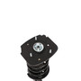 Complete Strut Assembly 816101 - bottom view