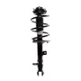 Complete Strut Assembly 816956 - front view