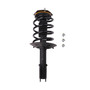 Complete Strut Assembly 817037 - front view