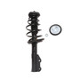 Complete Strut Assembly 818031 - top view