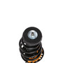Complete Strut Assembly 818031 - bottom view