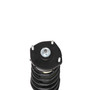 Complete Strut Assembly 815928 - bottom view