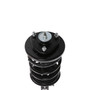Complete Strut Assembly 818289 - bottom view
