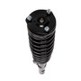 Complete Strut Assembly 816753 - bottom view