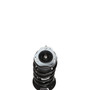 Complete Strut Assembly 817103 - bottom view