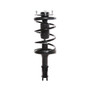 Complete Strut Assembly 818575 - front view