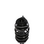 Complete Strut Assembly 818121 - bottom view