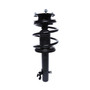 Complete Strut Assembly 818577 - front view