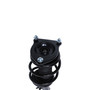 Complete Strut Assembly 818577 - bottom view
