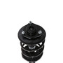 Complete Strut Assembly 818320 - bottom view