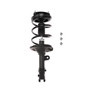 Complete Strut Assembly 818206 - front view