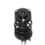 Complete Strut Assembly 818225 - bottom view