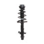Complete Strut Assembly 818323 - front view