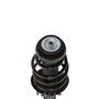 Complete Strut Assembly 818323 - bottom view