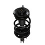 Complete Strut Assembly 818667 - bottom view