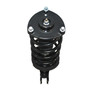 Complete Strut Assembly 818298 - bottom view