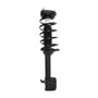 Complete Strut Assembly 817244 - top view