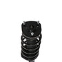 Complete Strut Assembly 817244 - bottom view