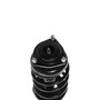 Complete Strut Assembly 818124 - bottom view