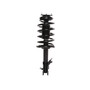 Complete Strut Assembly 817245 - front view