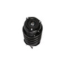 Complete Strut Assembly 817245 - bottom view