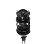 Complete Strut Assembly 818242 - bottom view