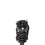 Complete Strut Assembly 819380 - bottom view