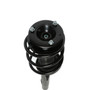 Complete Strut Assembly 818607 - bottom view