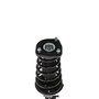 Complete Strut Assembly 818327 - bottom view
