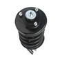 Complete Strut Assembly 818305