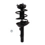 Complete Strut Assembly 818700 - front view