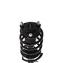 Complete Strut Assembly 818625 - bottom view