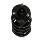 Complete Strut Assembly 818885 - bottom view