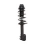Complete Strut Assembly 818272 - top view