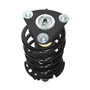 Complete Strut Assembly 818962 - bottom view