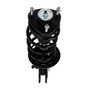 Complete Strut Assembly 818891 - bottom view