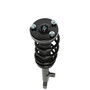 Complete Strut Assembly 819557 - bottom view