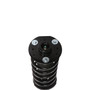 Complete Strut Assembly 818629 - bottom view