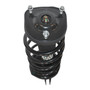 Complete Strut Assembly 818681 - bottom view